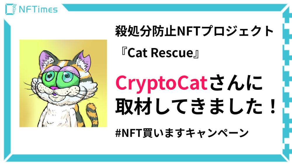 売上の50％を寄付！猫の殺処分防止を目的としたNFTプロジェクト「CatRescue」とは？